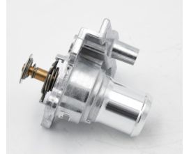 ΘΕΡΜΟΣΤΑΤΗΣ (504387382)