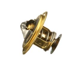 ΘΕΡΜΟΣΤΑΤΗΣ 98463638