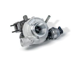 ΤΟΥΡΜΠΙΝΑ (5802740715)